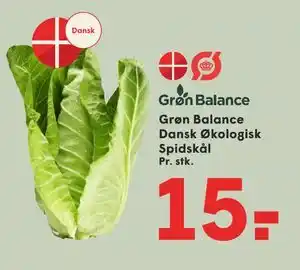 SPAR Grøn Balance Dansk Økologisk Spidskål tilbud