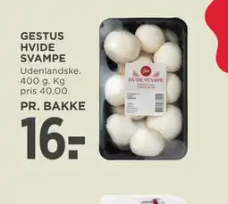 MENY GESTUS HVIDE SVAMPE tilbud