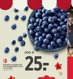 MENY DANSKE BLÅBÆR FRA HALSKENBJERG ELLER LILLETUEN tilbud