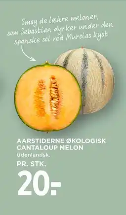 MENY AARSTIDERNE ØKOLOGISK CANTALOUP MELON tilbud