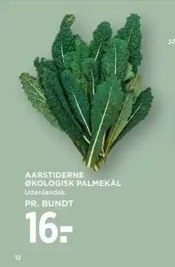 MENY AARSTIDERNE ØKOLOGISK PALMEKÅL tilbud