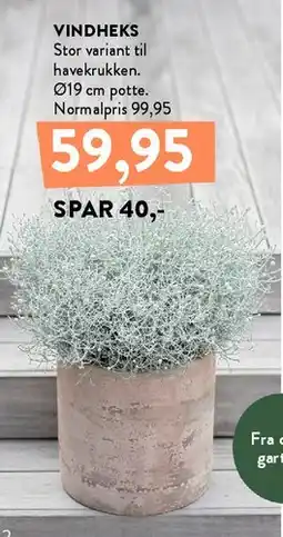 Plantorama VINDHEKS tilbud