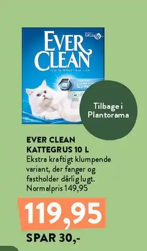 Ever Clean kattegrus 10 L