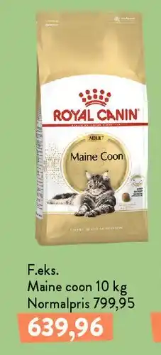 Plantorama Royal Canin Maine Coon 10 kg tilbud