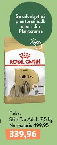 Plantorama Royal Canin Chihuahua Adult 3 kg tilbud