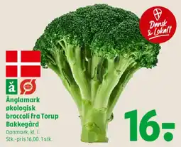 Coop 365 Ånglamark økologisk broccoli tilbud