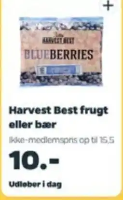 Netto Harvest Best frugt eller bær tilbud