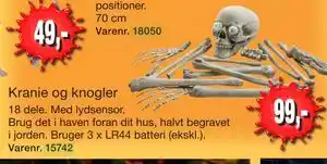 Harald Nyborg Kranie og knogler tilbud