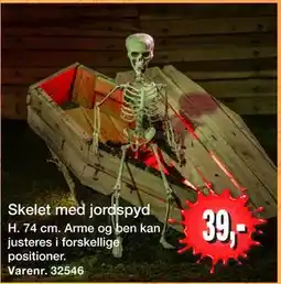 Harald Nyborg Skelet med jordspyd tilbud