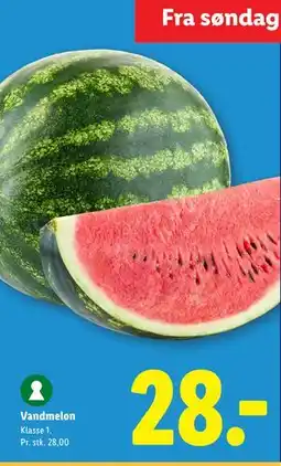 Lidl Vandmelon tilbud