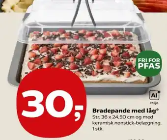 Brade pande med låg