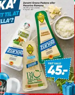 Bilka Zanetti Grana Padano eller Pecorino Romano tilbud