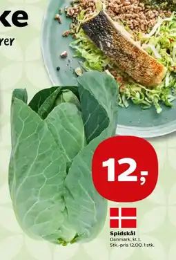 Kvickly Spidskål tilbud