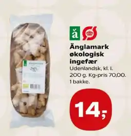 Kvickly Änglamark ingefær tilbud