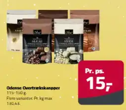 Fleggaard Odense Overtrækskanpper tilbud