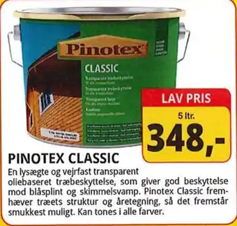 Pinotex Classic