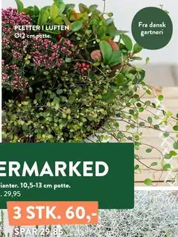 Plantorama PLETTER I LUFTEN tilbud
