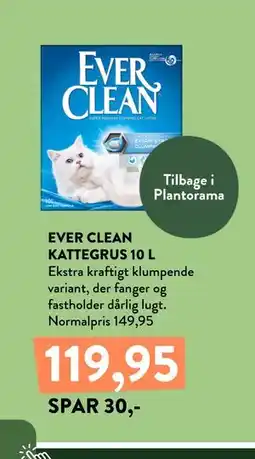 Plantorama EVER CLEAN KATTEGRUS 10 L tilbud
