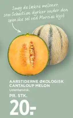 MENY AARSTIDERNE ØKOLOGISK CANTALOUPE MELON tilbud