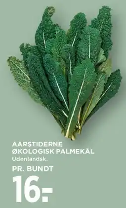 MENY AARSTIDERNE ØKOLOGISK PALMEKÅL tilbud