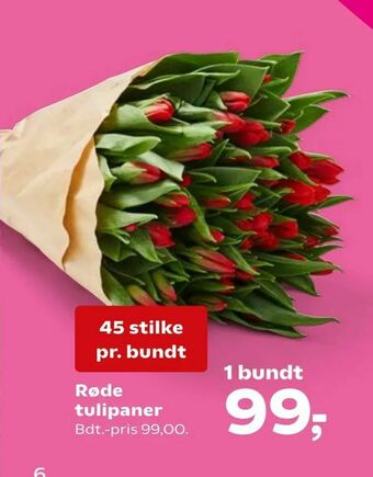 SuperBrugsen Røde tulipaner tilbud