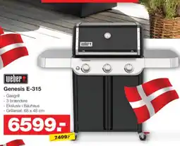 Bauhaus weber genesis e-315 tilbud