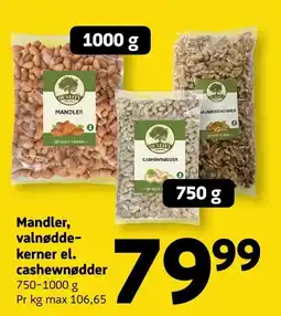Løvbjerg Quality Farms Mandler, valnøddekerner el. cashewnødder tilbud