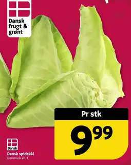 Løvbjerg Spidskål tilbud