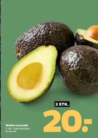 Netto Modne avocado tilbud