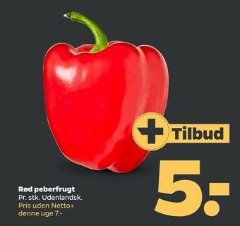 Netto Rød peberfrugt tilbud