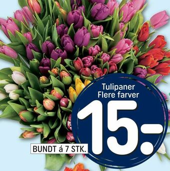 REMA 1000 Tulipaner tilbud