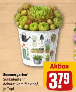REWE DE Sommergarten Sukkulenten in dekorativem Zinktopf tilbud