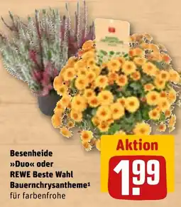 REWE DE Besenheide Duo oder REWE Beste Wahl Bauernchrysantheme tilbud