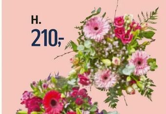 Føtex Håndbundet buket tilbud