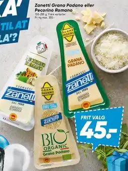 Bilka Zanetti Grana Padano eller Pecorino Romano tilbud