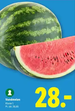 Lidl Vandmelon tilbud