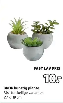 JYSK BROR kunstig plante tilbud