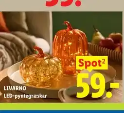Lidl LIVARNO LED-pyntegræskar tilbud