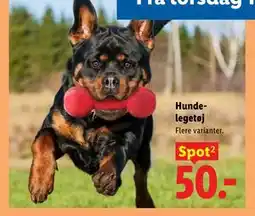 Lidl Hundelegetøj tilbud