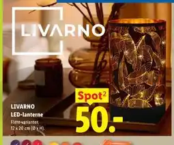 Lidl LIVARNO LED-lanterne tilbud