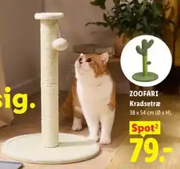 Lidl ZOOFARI Kradsetræ tilbud