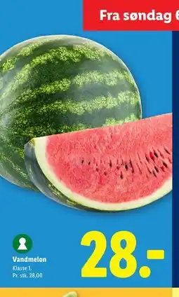 Lidl Vandmelon tilbud
