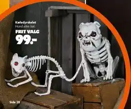 Fætter BR Kæledyrskelet tilbud