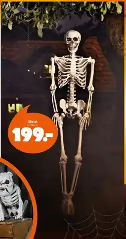 Fætter BR Skelet tilbud