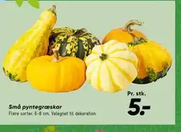 Bilka Små pyntegræskar tilbud