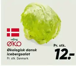 Bilka Økologisk dansk icebergsalat tilbud