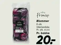 Bilka Blommer tilbud