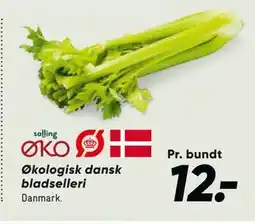 Bilka Økologisk dansk bladselleri tilbud