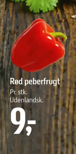 Føtex Rød peberfrugt tilbud