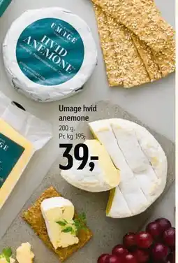 Føtex Umage hvid anemone tilbud